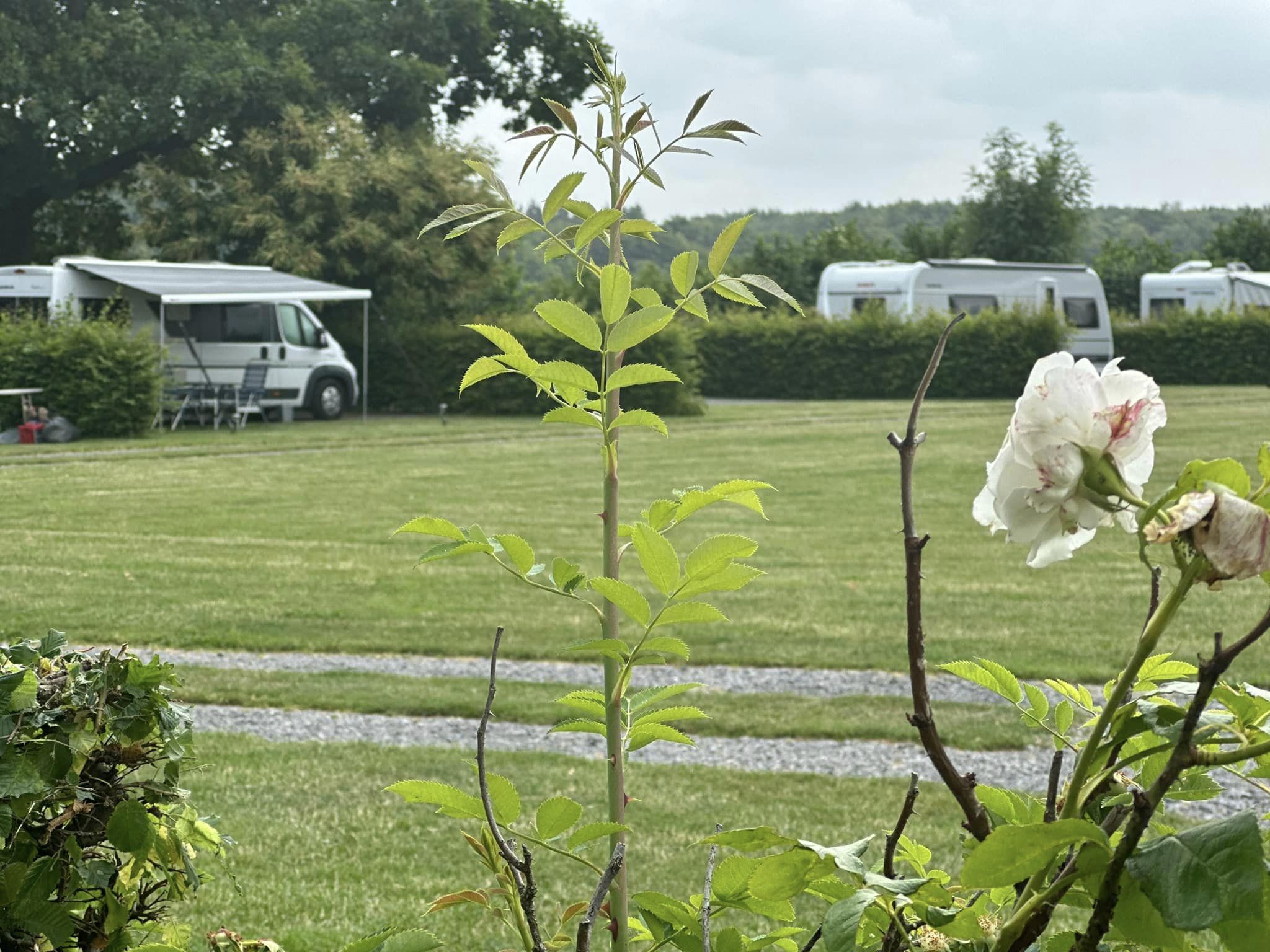 Camping Heuvelland Oaze