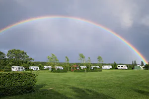 Camping Heuvelland Oaze 50+ boerderijcamping Heuvelland Oaze - Regenbogen über die Standplätze auf der Wiese