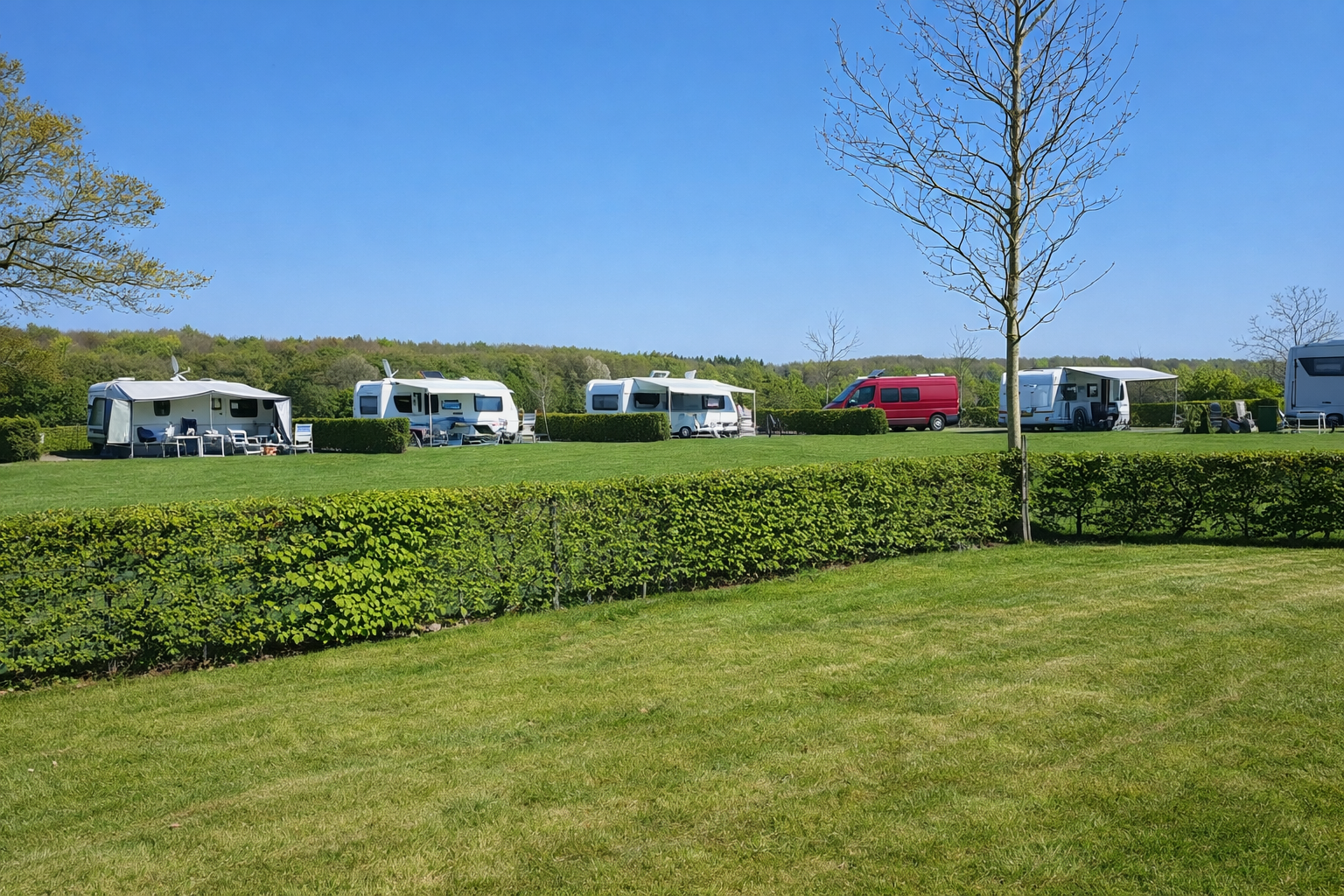 Camping Heuvelland Oaze  50+ boerderijcamping Heuvelland Oaze - Standplätze im Grünen auf dem Campingplatz