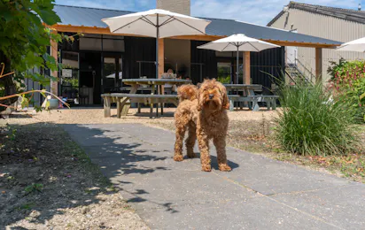 7Huizen aan Zee