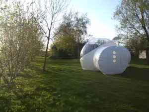 Glamping-Bubbelzelt auf einem grünen Campingplatz, umgeben von Bäumen und Gras, mit klar sichtbarer runder Hülle.