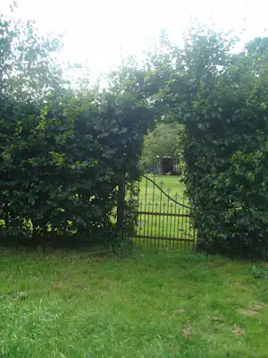 Grüner Garten mit Rasen, Hecken und einem Metallzaun, dahinter ein Weg und ein sichtbarer Durchgang.