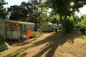 Reihen von Wohnwagen und einem Zelt auf einem Campingplatz, daneben Fahrräder und ein Weg im Schatten der Bäume.