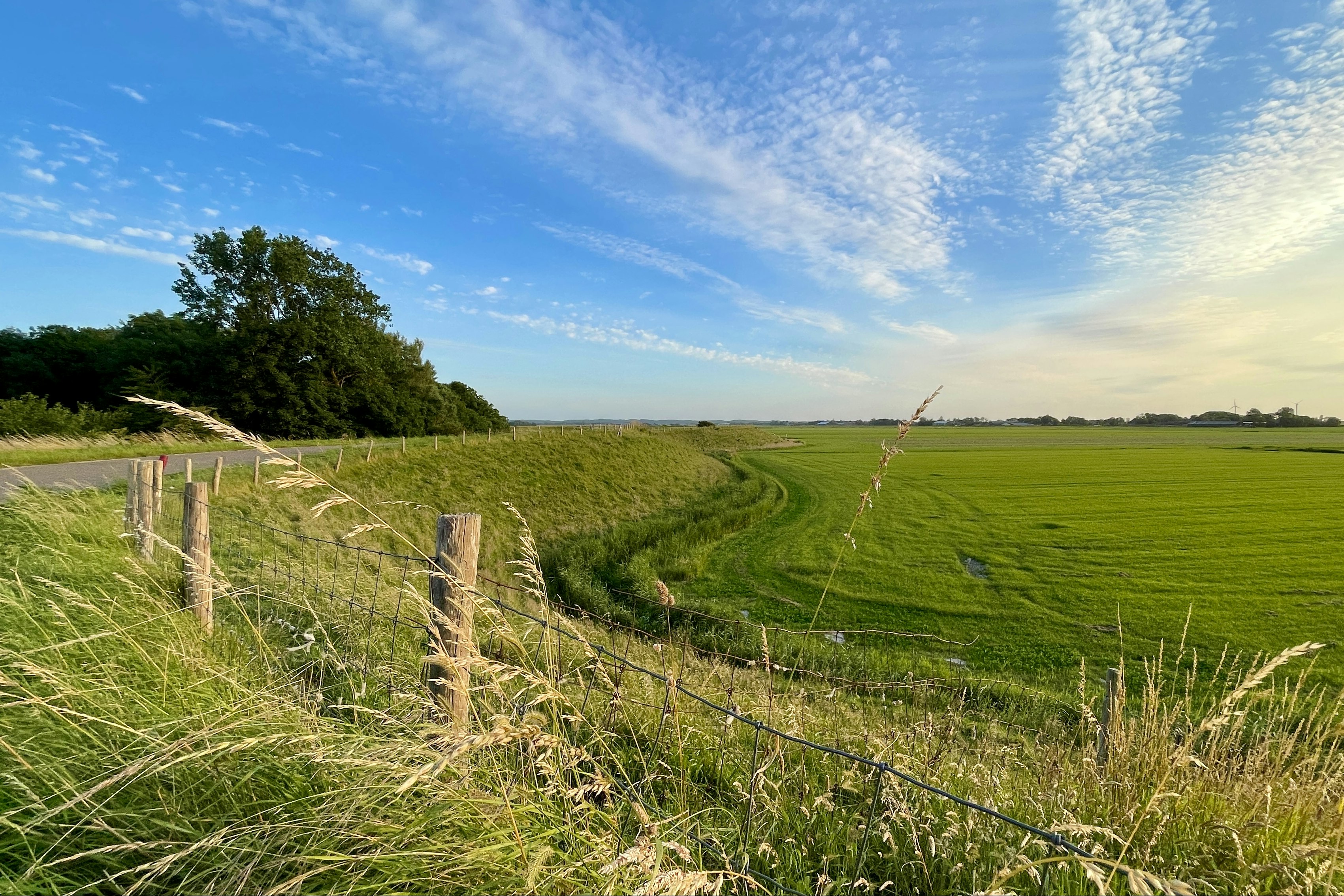 Aan Noordzee - Felder und Wiesen in der Umgebung des Campingplatzes