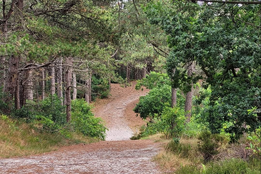 Aan Noordzee - Spazierwege in der Umgebung des Campingplatzes