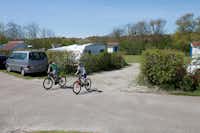 Aan Noordzee -  Fahrrad Fahrer auf dem Campingplatz Gelände