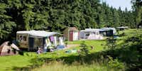 Der von Wald umringte Zelt- und Wohnwagenstellplatz auf dem Campingplatz Aan Veluwe in Oosterbeek