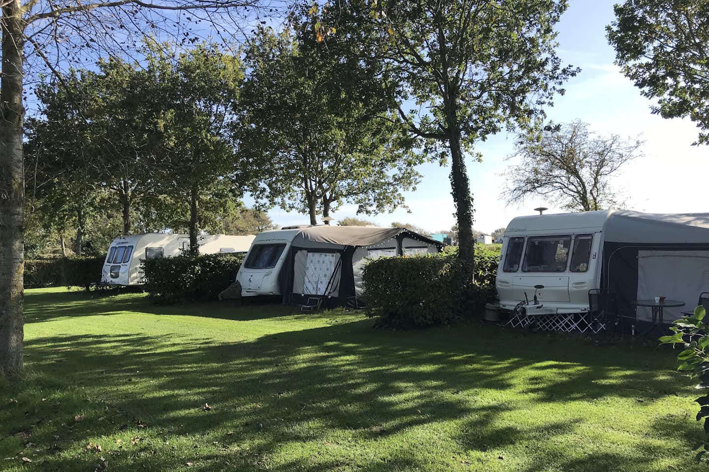 Acorn Camping and Caravan Site - Standplätze durch Hecken und Bäume voneinander getrennt mit Wohnwagen auf einer grünen Wiese