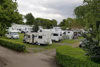 Acorn Camping and Caravan Site - Standplätze mit Wohnmobilen im Grünen umgeben von Bäumen