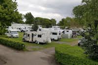 Acorn Camping and Caravan Site - Standplätze mit Wohnmobilen im Grünen umgeben von Bäumen