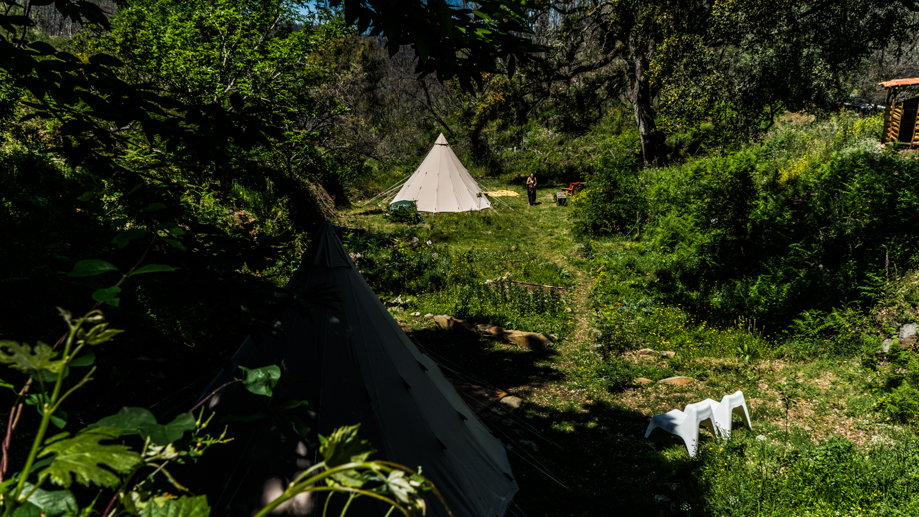 Zelt auf einem Campingplatz im Grünen, umgeben von Büschen und Bäumen, mit weißem Stuhl auf dem Rasen.