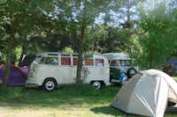 Adventure Camp Schnitzmühle - Stellplätze und Zeltplätze im Schatten unter Bäumen auf dem Campingplatz