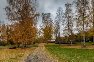 Campingweg durch einen Herbstwald mit bunten Bäumen, Grasfläche und Holzzäunen am Rand.