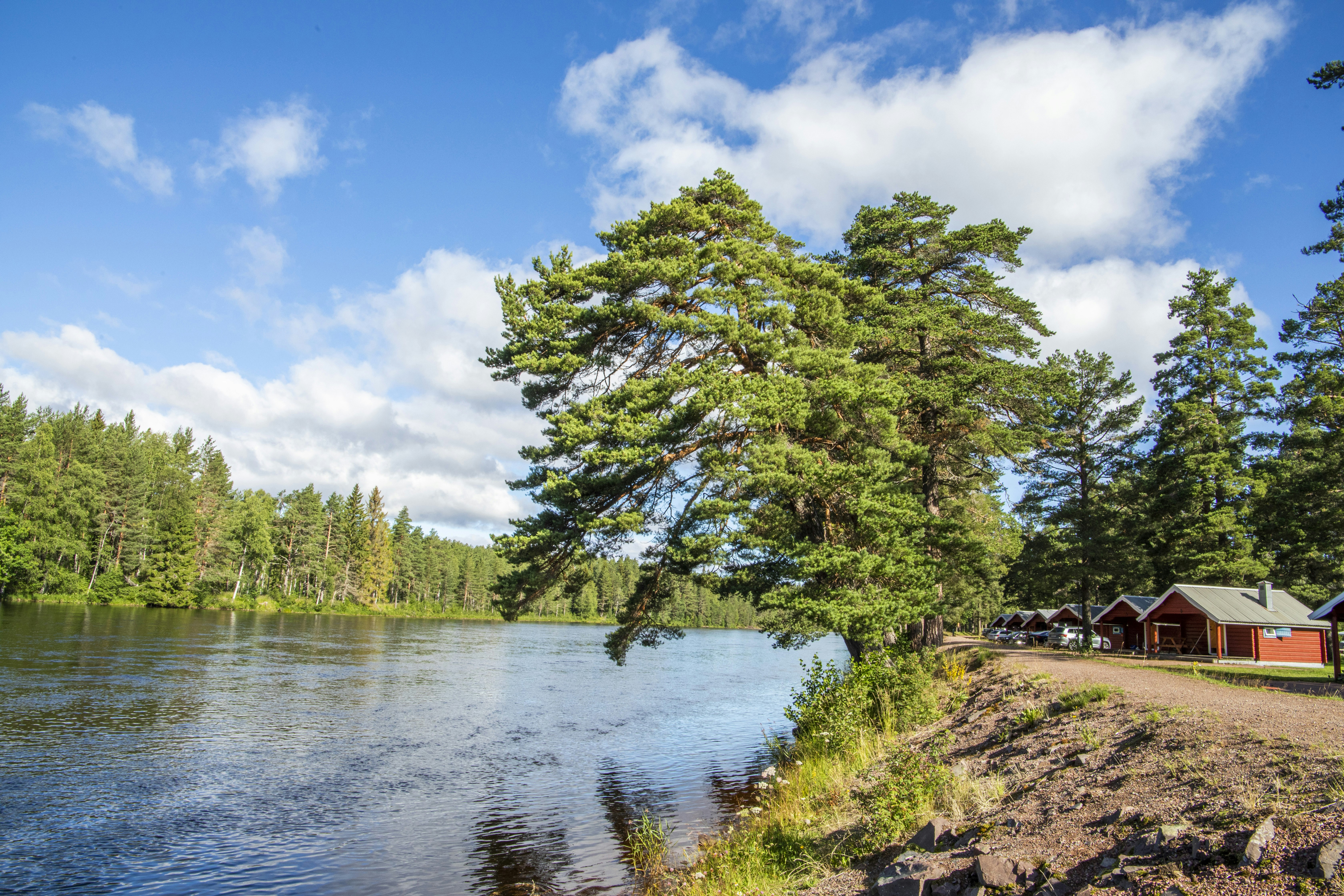 Älvdalens Camping - Blick auf den Campingplatz am Wasser