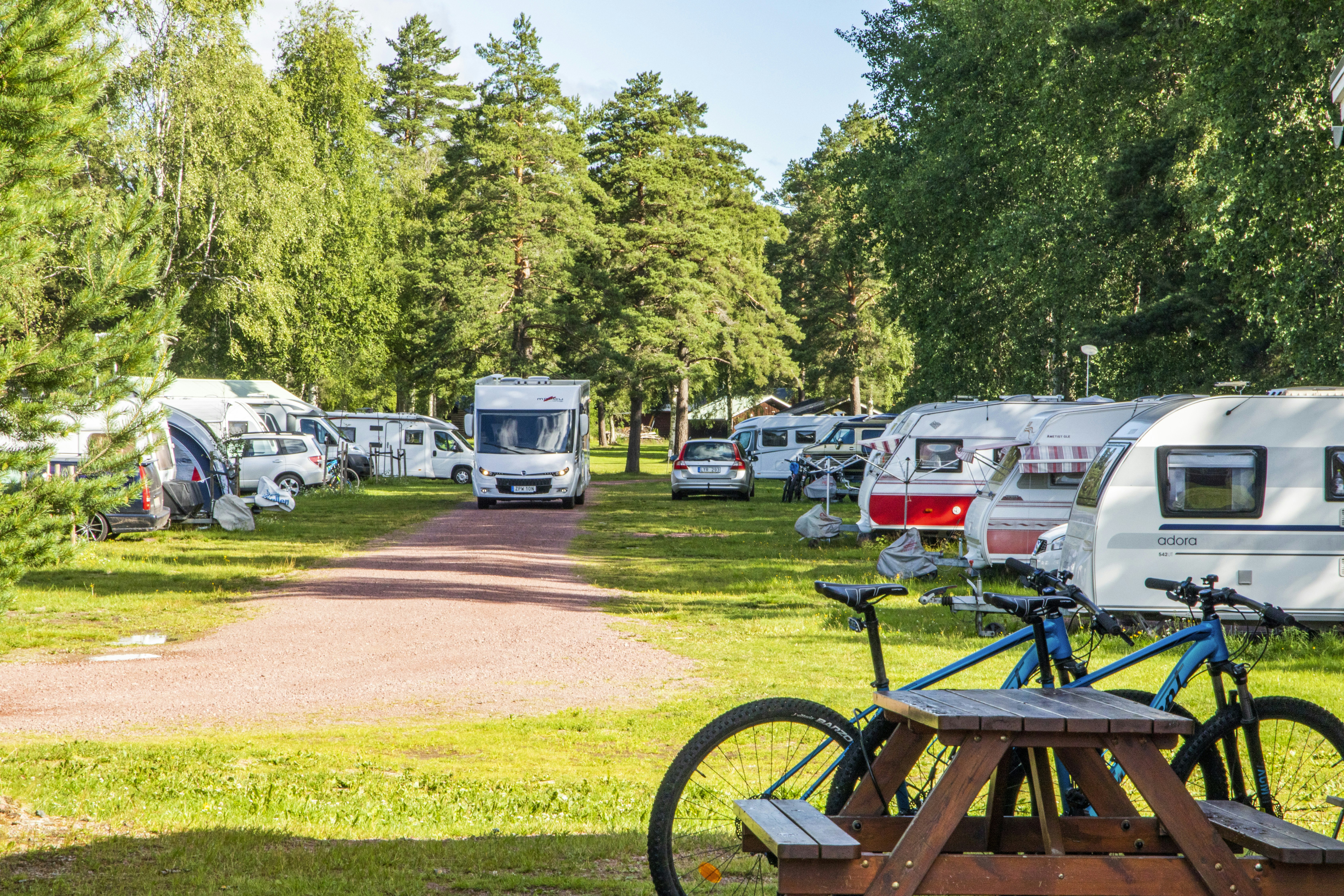 Älvdalens Camping - Stellplätze im Schatten der Bäume