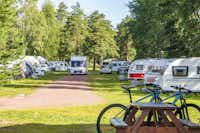 Älvdalens Camping - Stellplätze im Schatten der Bäume
