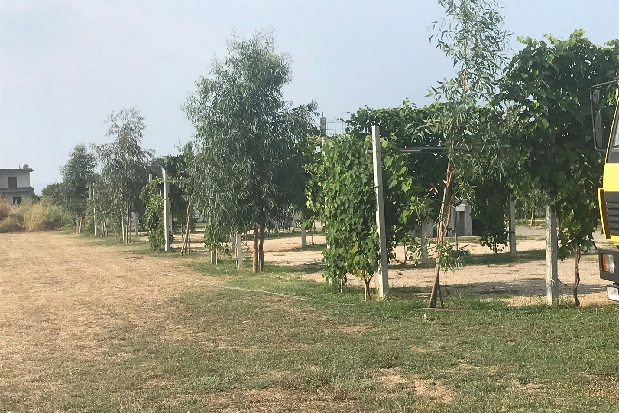 Agri Camping Italiano Eucalyptus - Standplätze auf dem Campingplatz