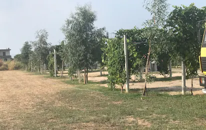 Agri Camping Italiano Eucalyptus