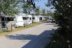 Agri-Camping Le Nosare - Standplätze zwischen den Bäumen auf dem Campingplatz