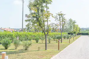 Agri-Camping Le Nosare - Standplatzwiese auf dem Campingplatz