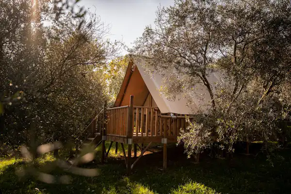 Agri-Glamping Il Bosco di Marino