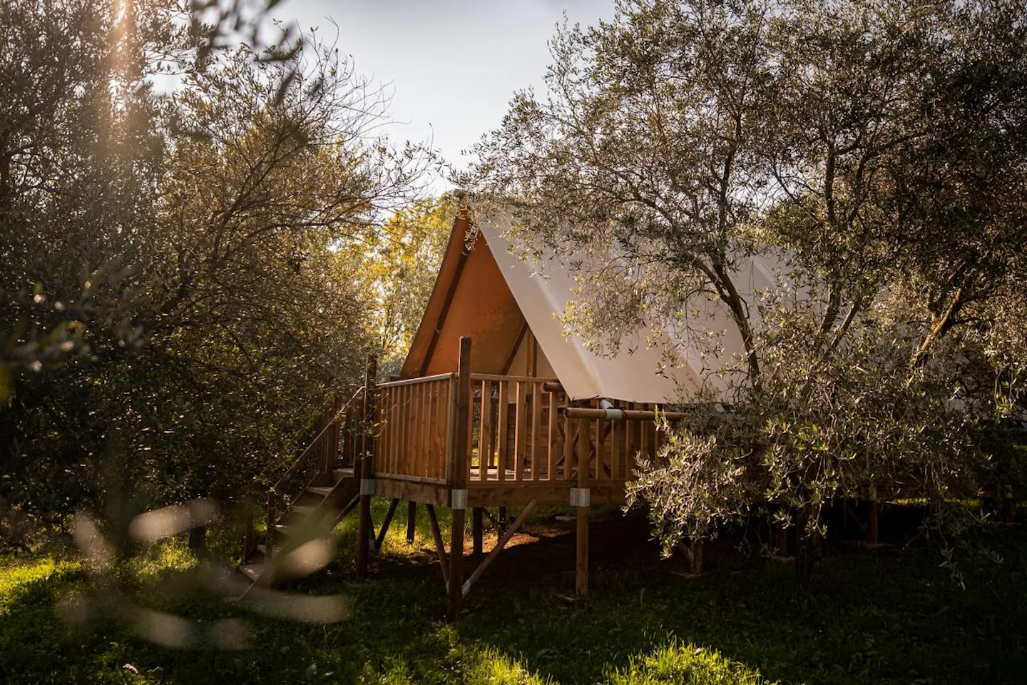 Agri-Glamping Il Bosco di Marino