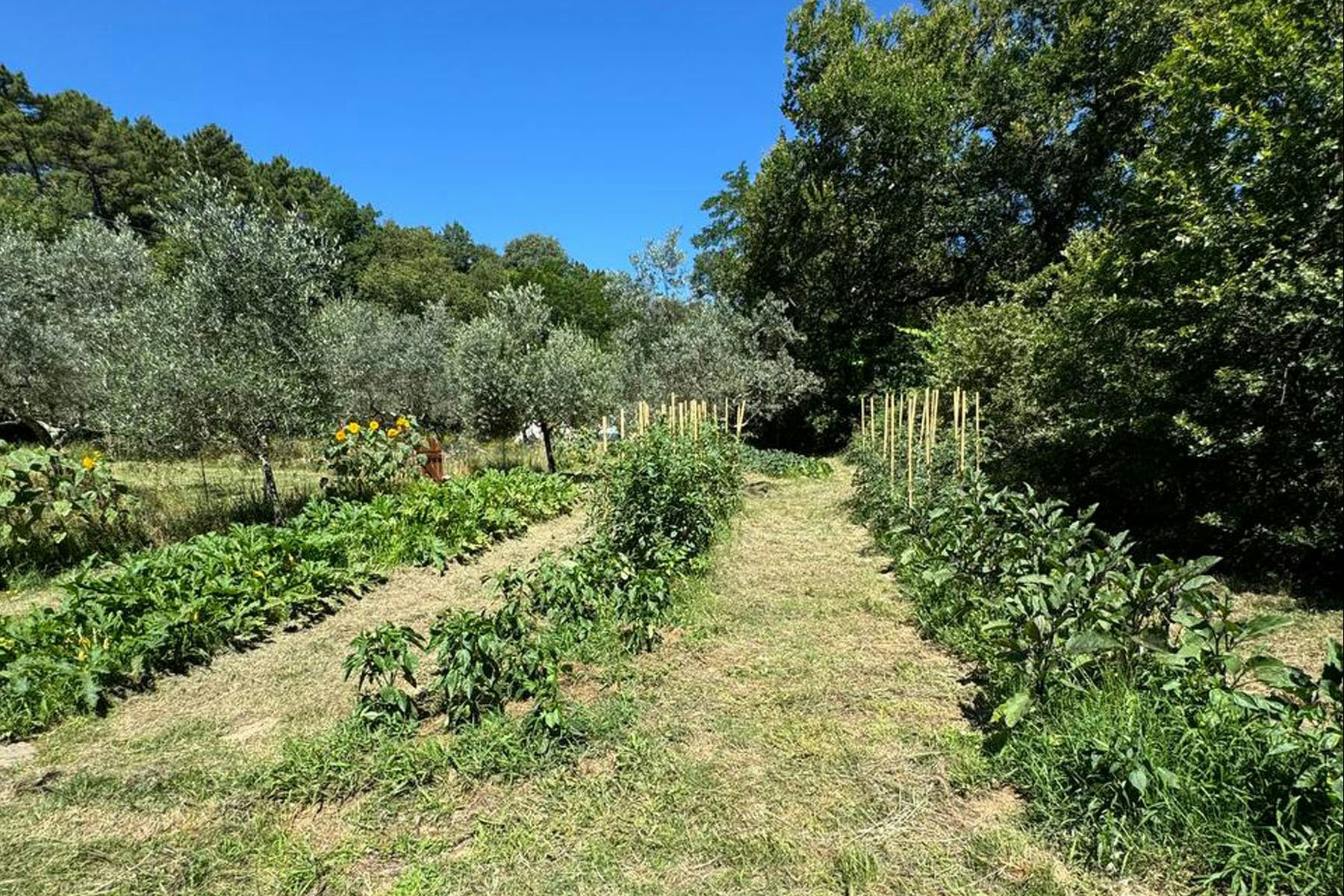 Agricampeggio Borgo Agna - Garten auf dem Campingplatz