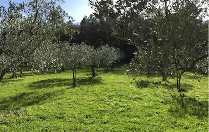 Agricampeggio Borgo Agna