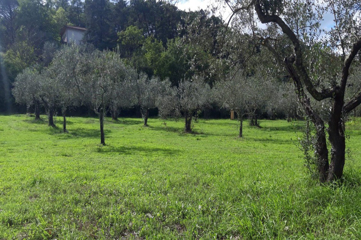 Agricampeggio Borgo Agna - Standplatzwiese auf dem Campingplatz