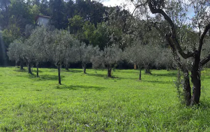 Agricampeggio Borgo Agna