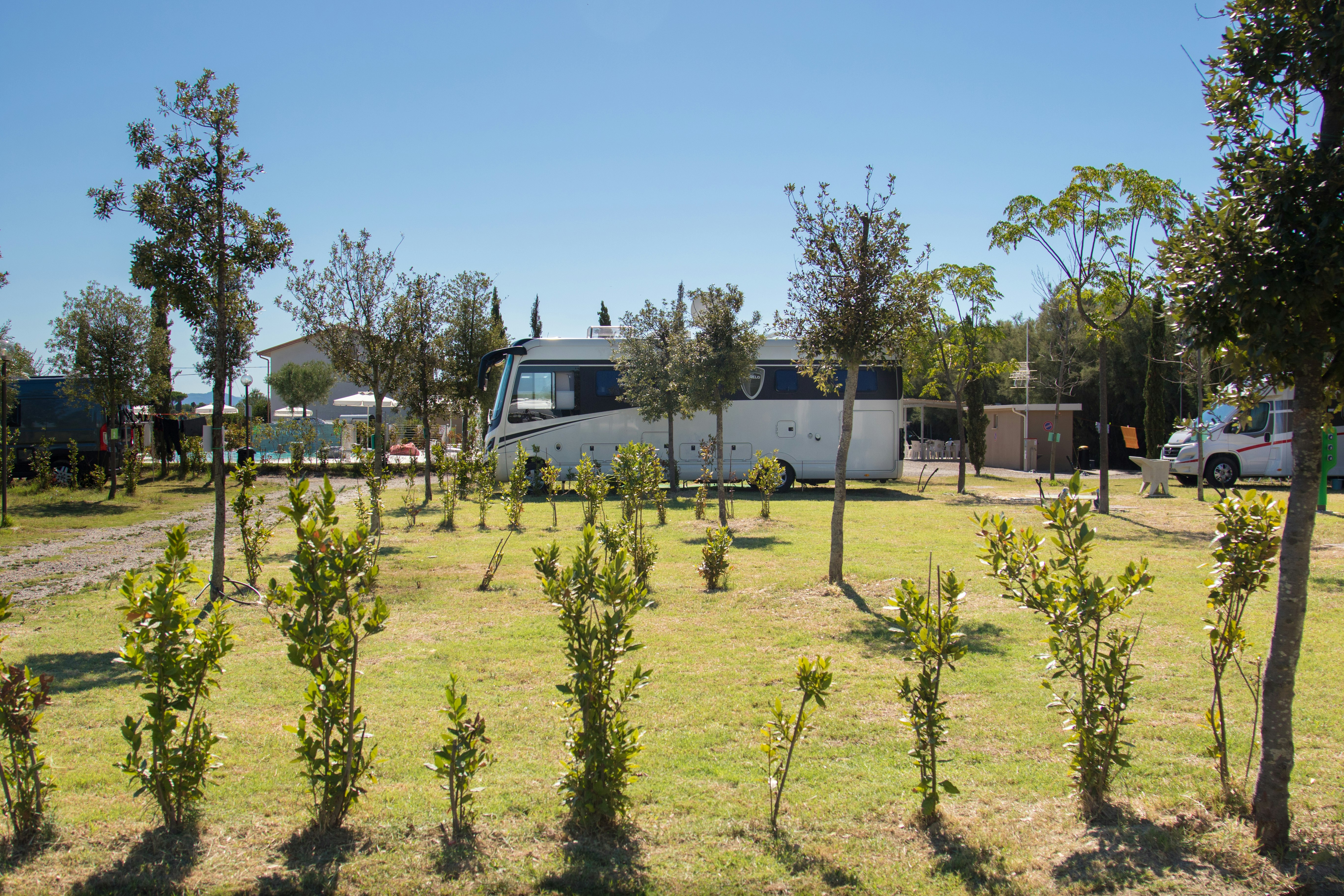 Agricampeggio Ippocampo - Standplatzwiese auf dem Campingplatz