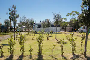 Agricampeggio Ippocampo - Standplatzwiese auf dem Campingplatz