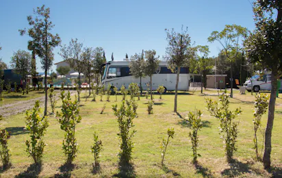 Agricampeggio Ippocampo