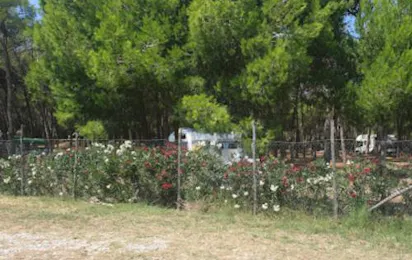 Agricampeggio La Pineta