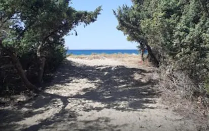 Agricampeggio La Pineta