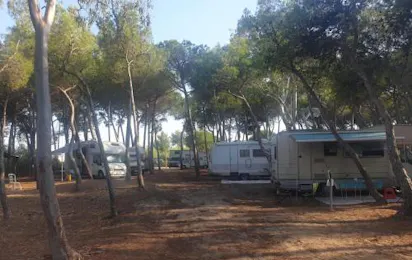 Agricampeggio La Pineta