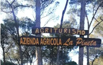 Agricampeggio La Pineta