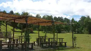 49493435.jpg