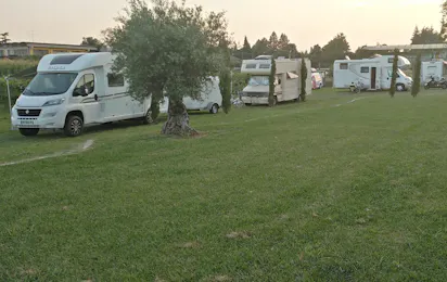 Agricampeggio Oro Verde