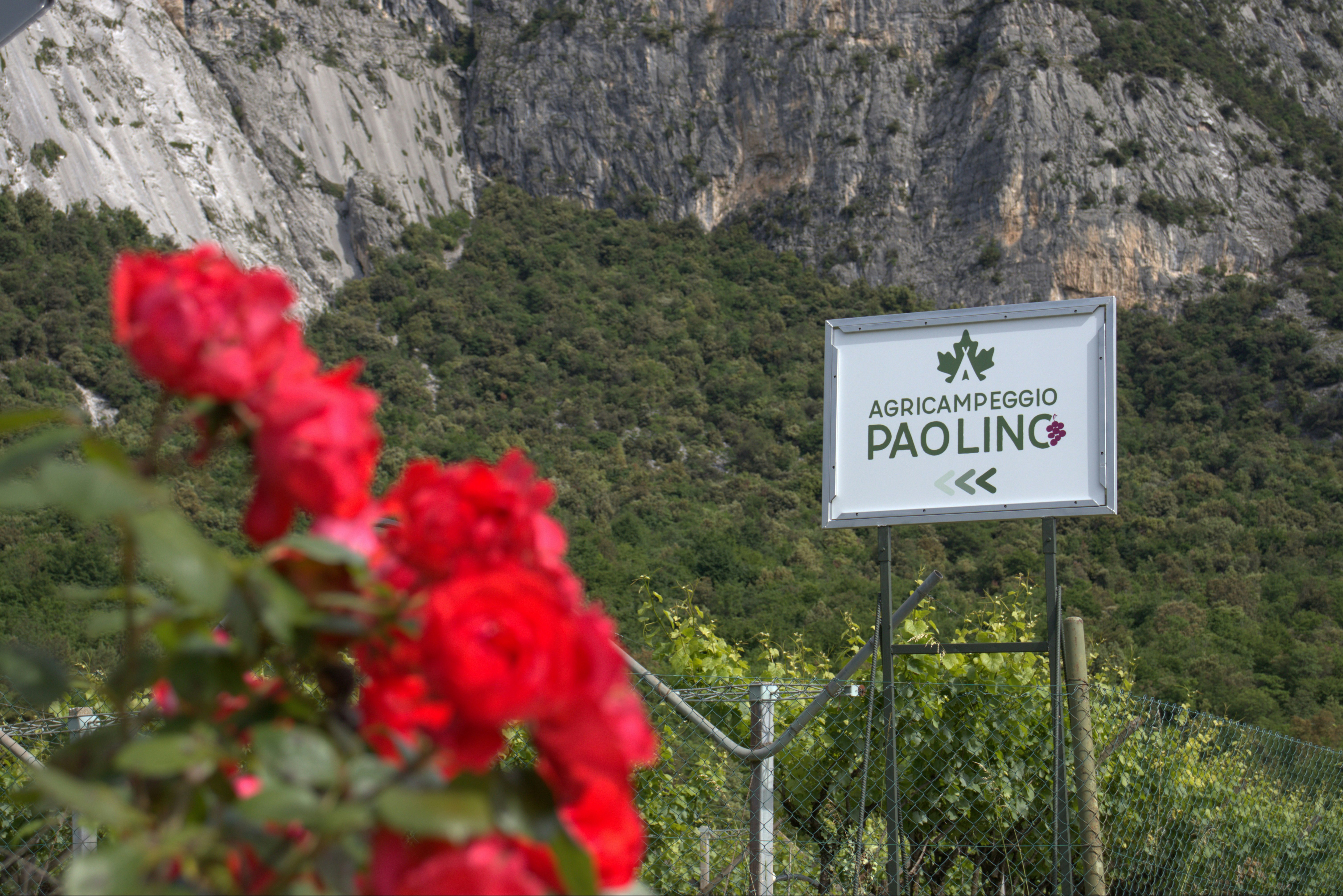 Agricampeggio Paolino