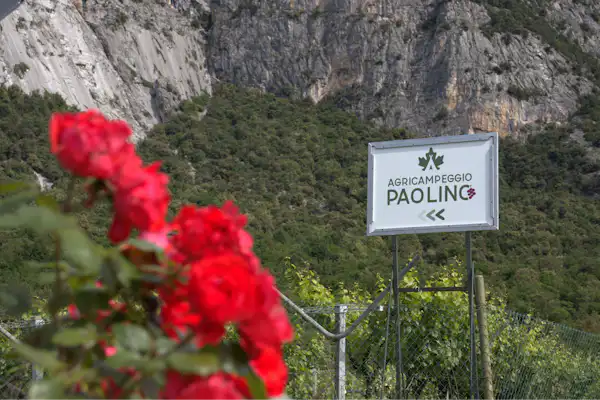 Agricampeggio Paolino