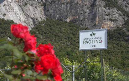Agricampeggio Paolino