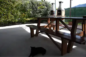 Agricampeggio Paolino - Grillstelle und Picknicktisch auf dem Campingplatz