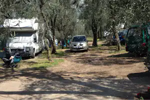 Agricampeggio Paradiso - Stellplatz vom Campingplatz zwischen Bäumen