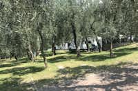 Agricampeggio Paradiso  -  Wohnwagen- und Zeltstellplatz vom Campingplatz auf grüner Wiese