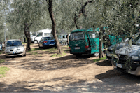 Agricampeggio Paradiso  -  Wohnwagen- und Zeltstellplatz vom Campingplatz im Grünen