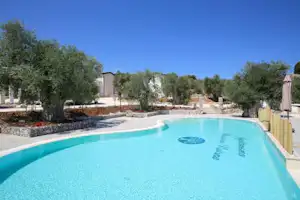 321346203.jpg
