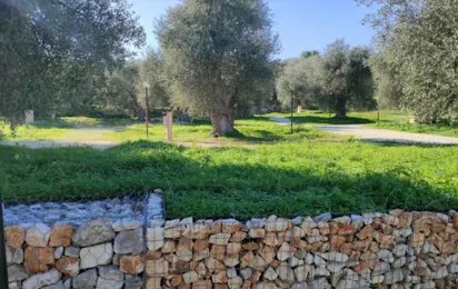 Agricampeggio Passione Natura