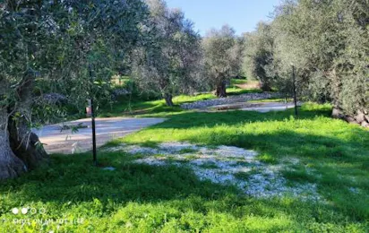 Agricampeggio Passione Natura