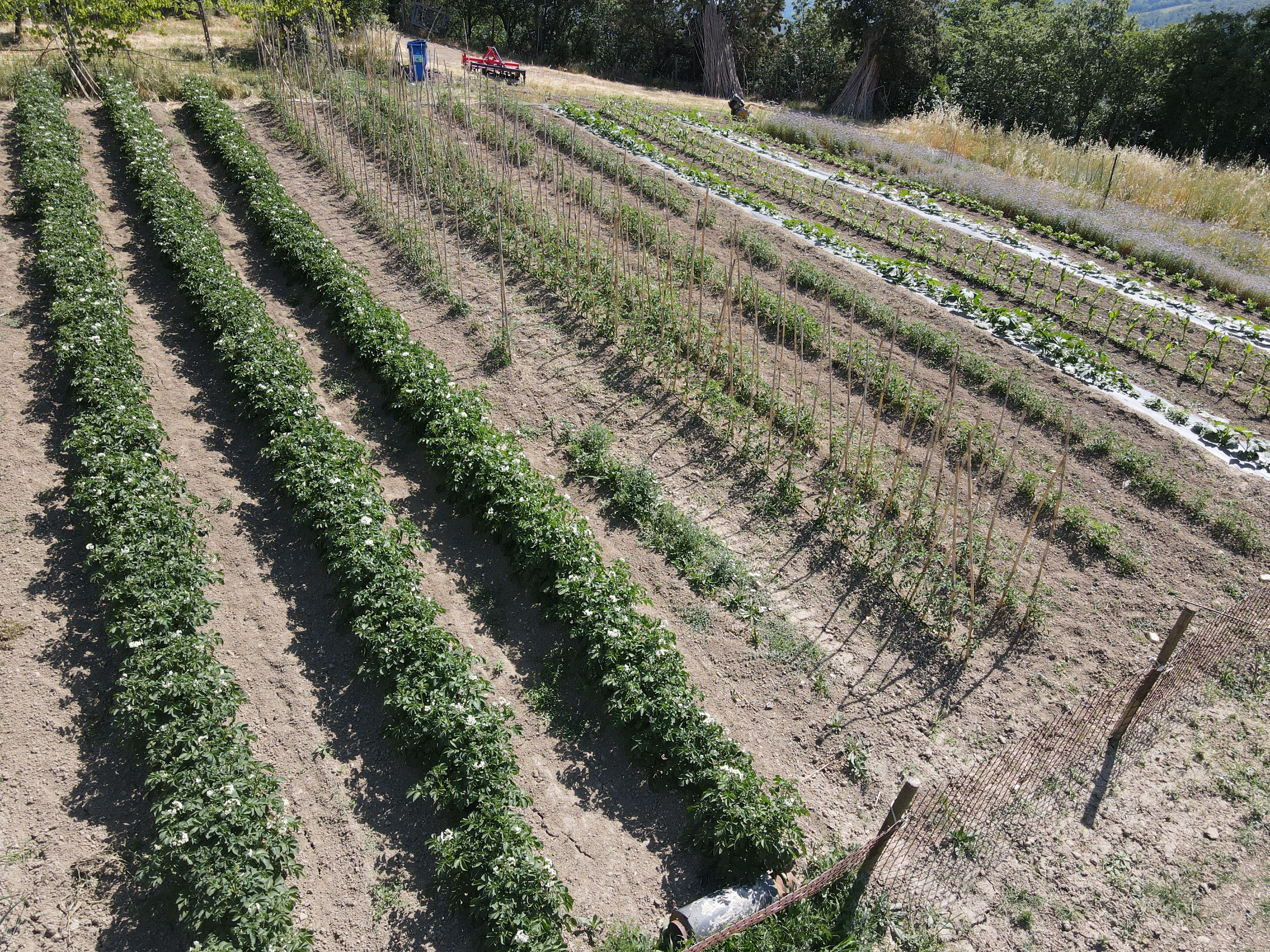 Agricampeggio Podernuovo BP